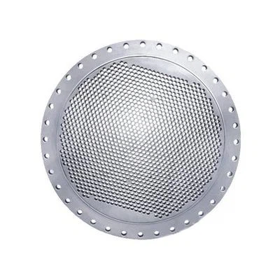 Stainless Steel Orifice Flanges